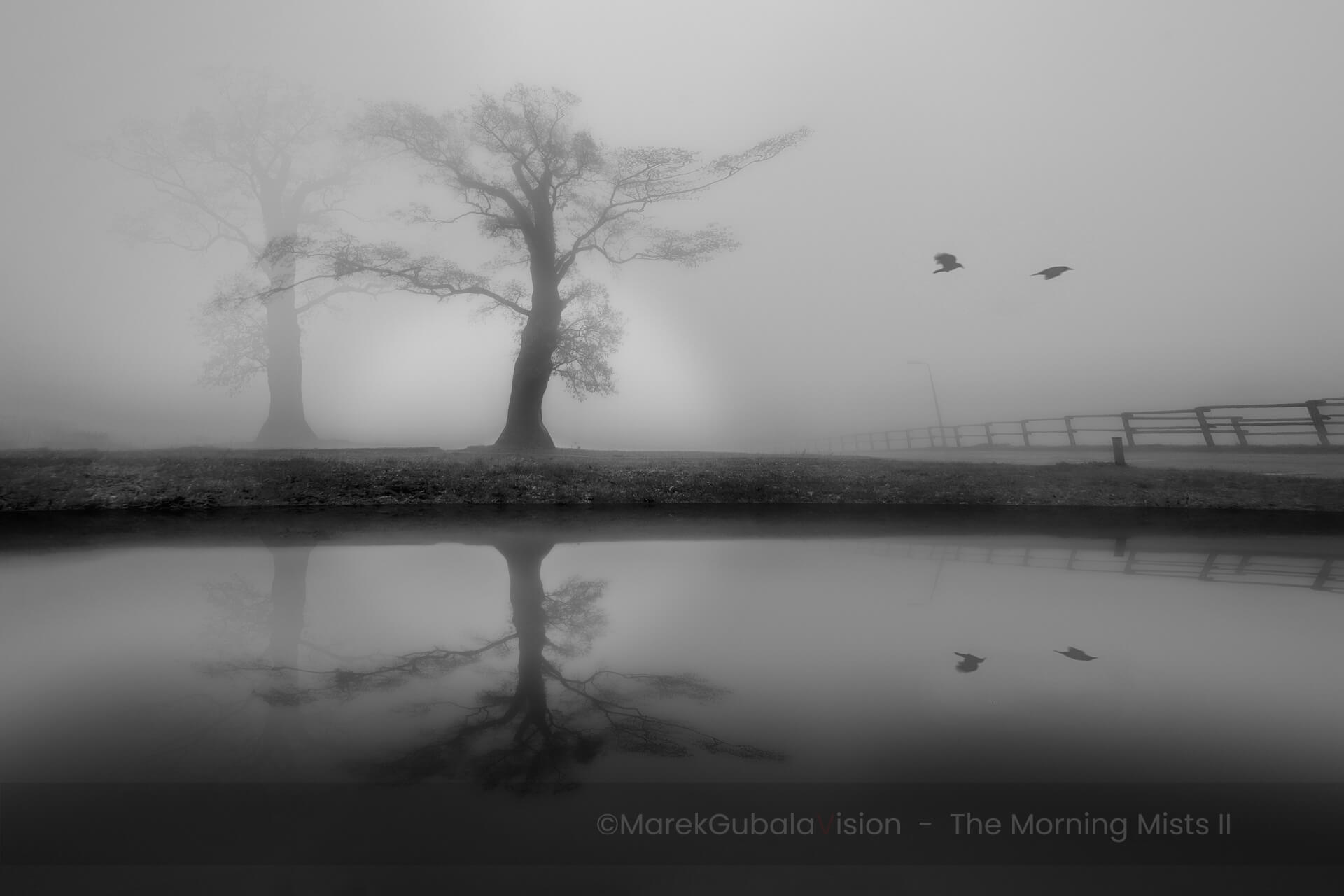 zdjęcie Marka Gubały