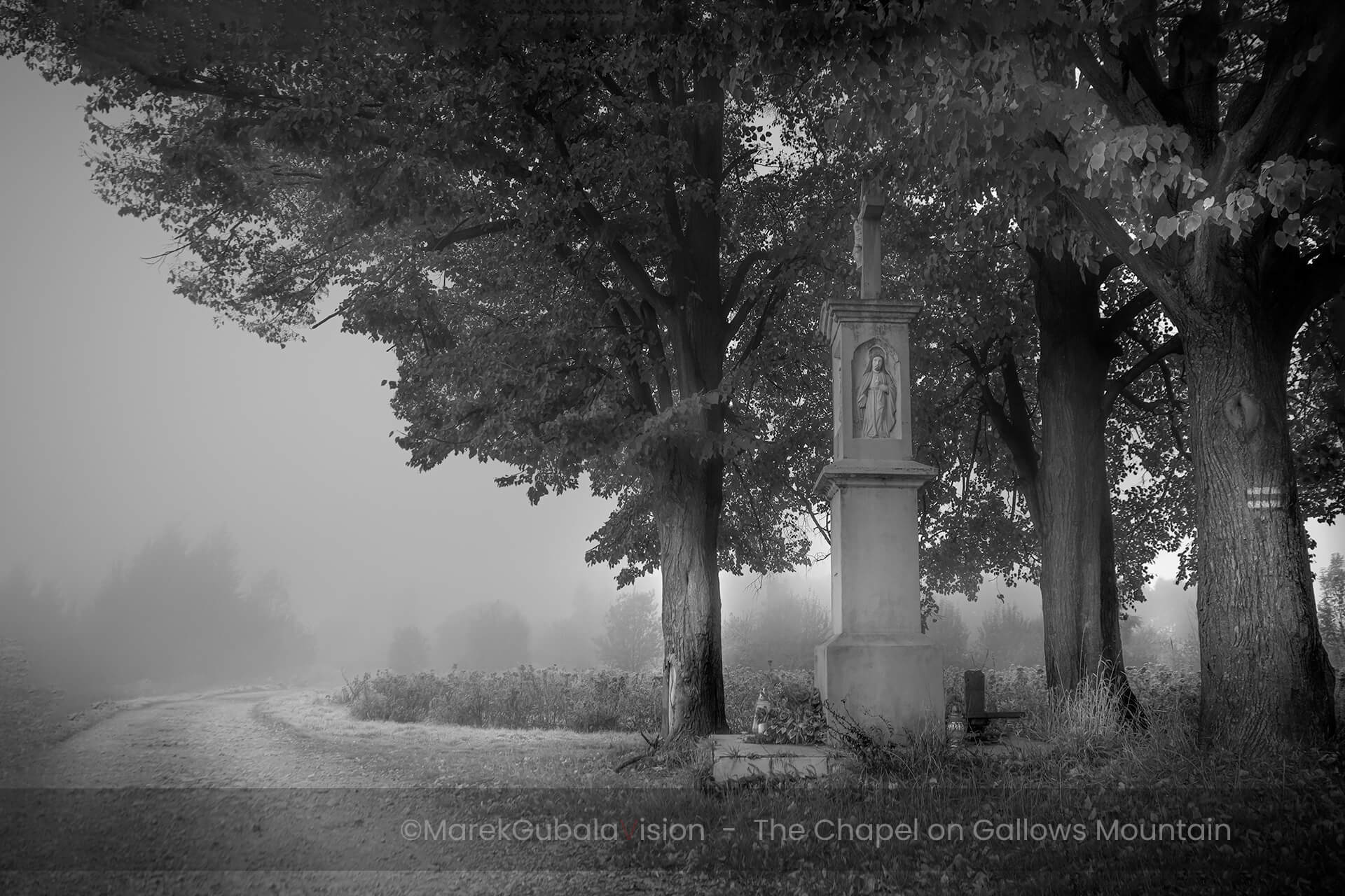 zdjęcie Marka Gubały