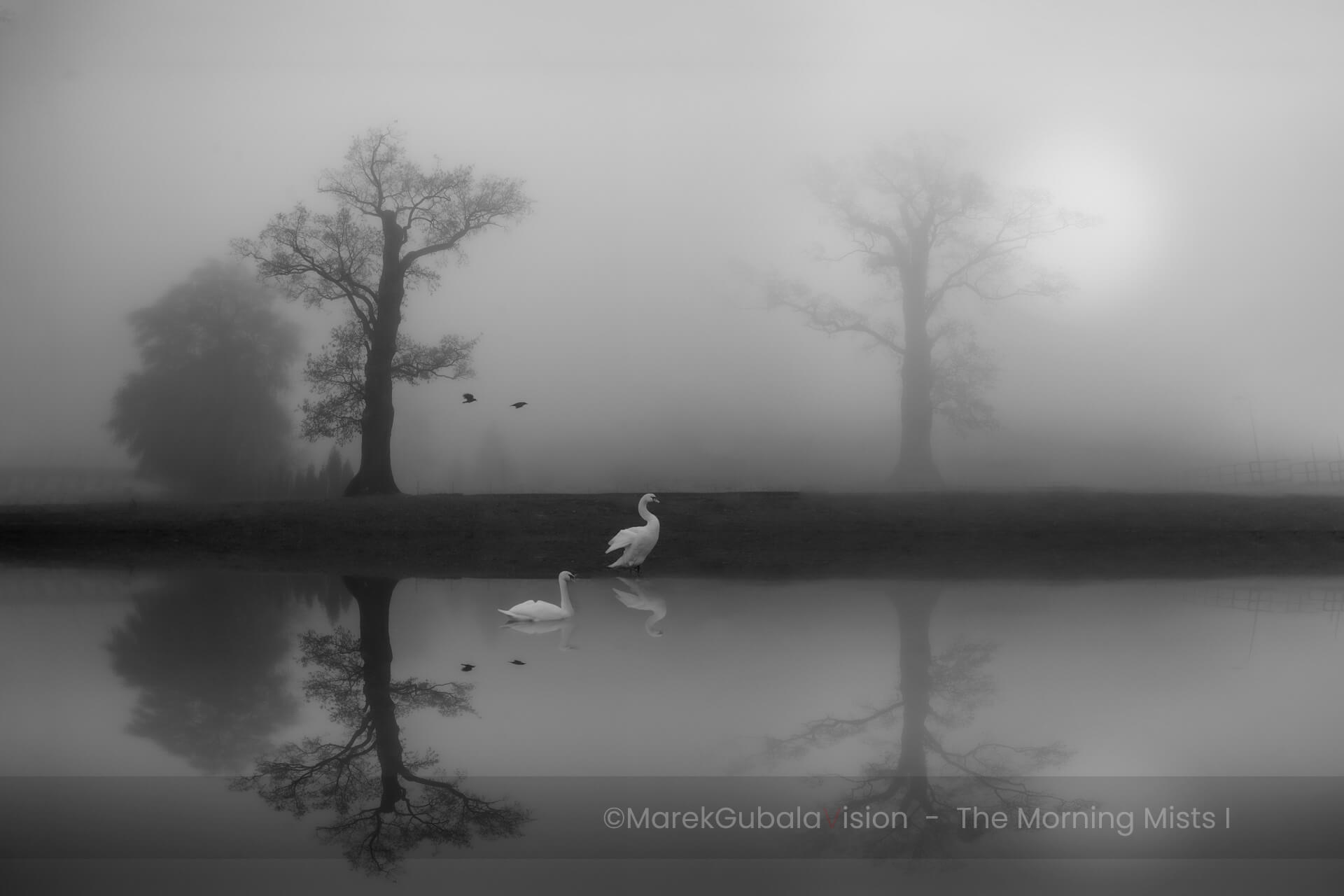 zdjęcie Marka Gubały