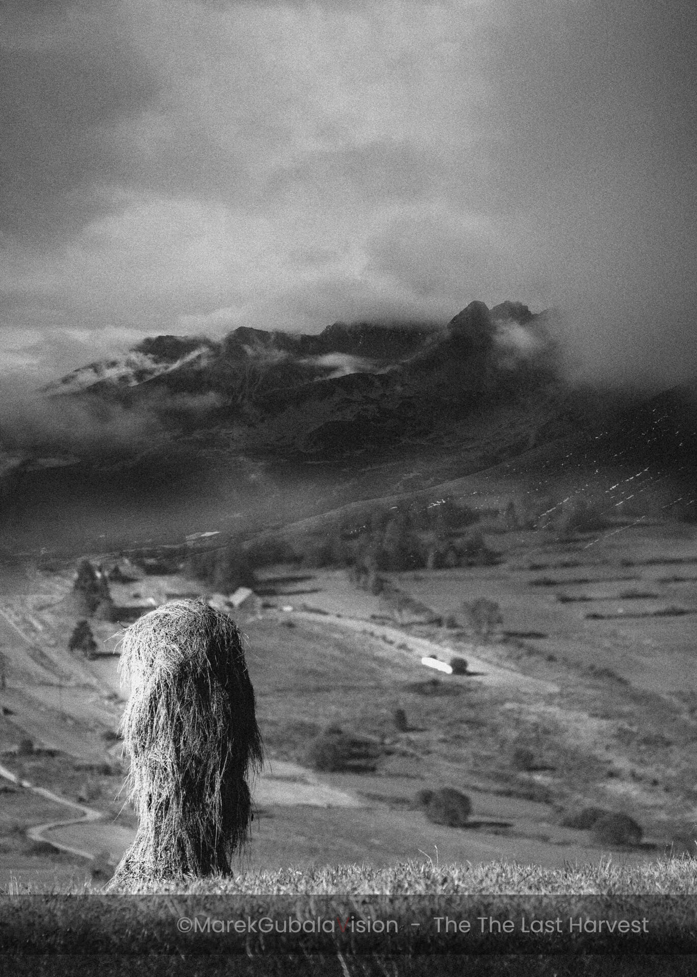 zdjęcie Marka Gubały