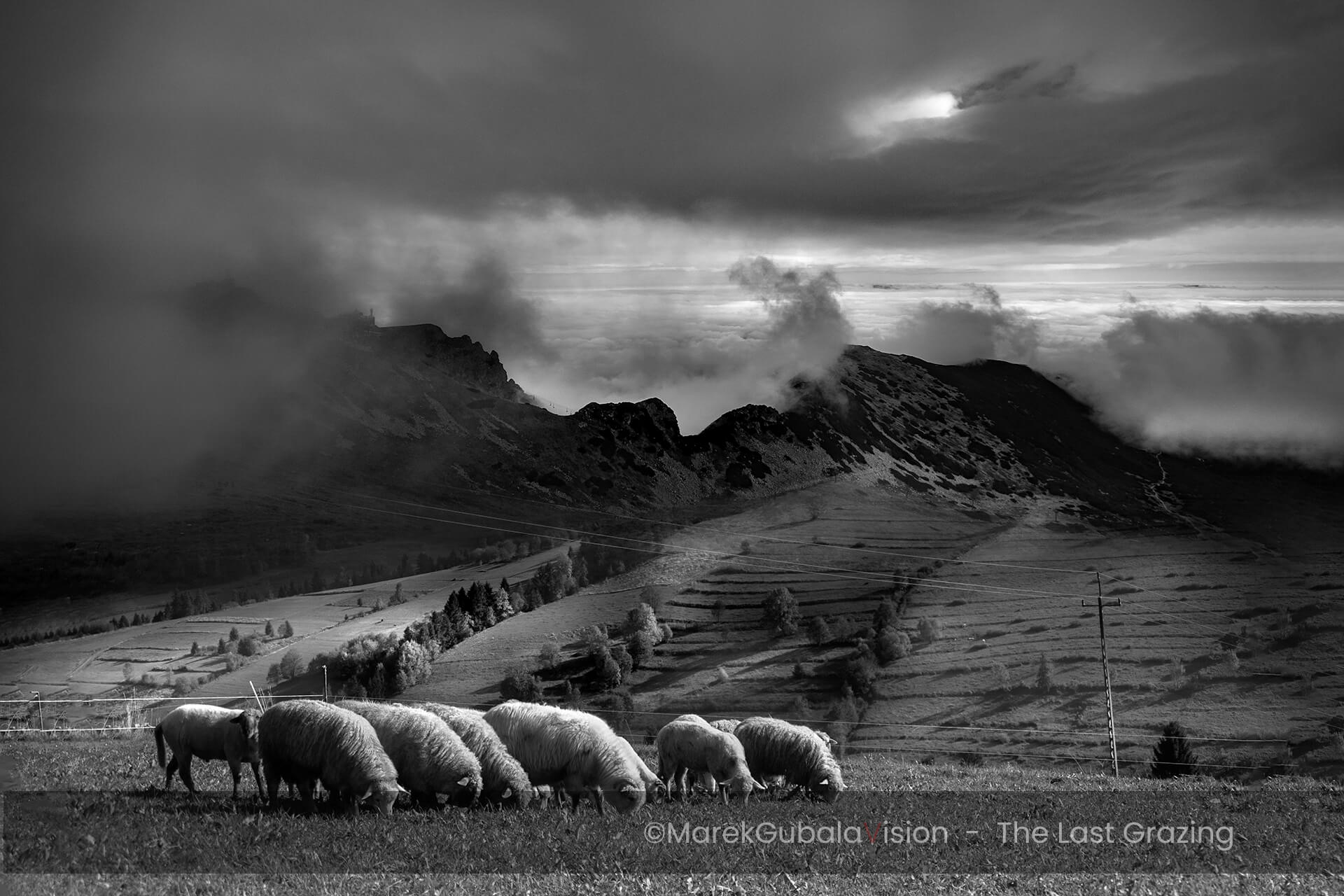 zdjęcie Marka Gubały