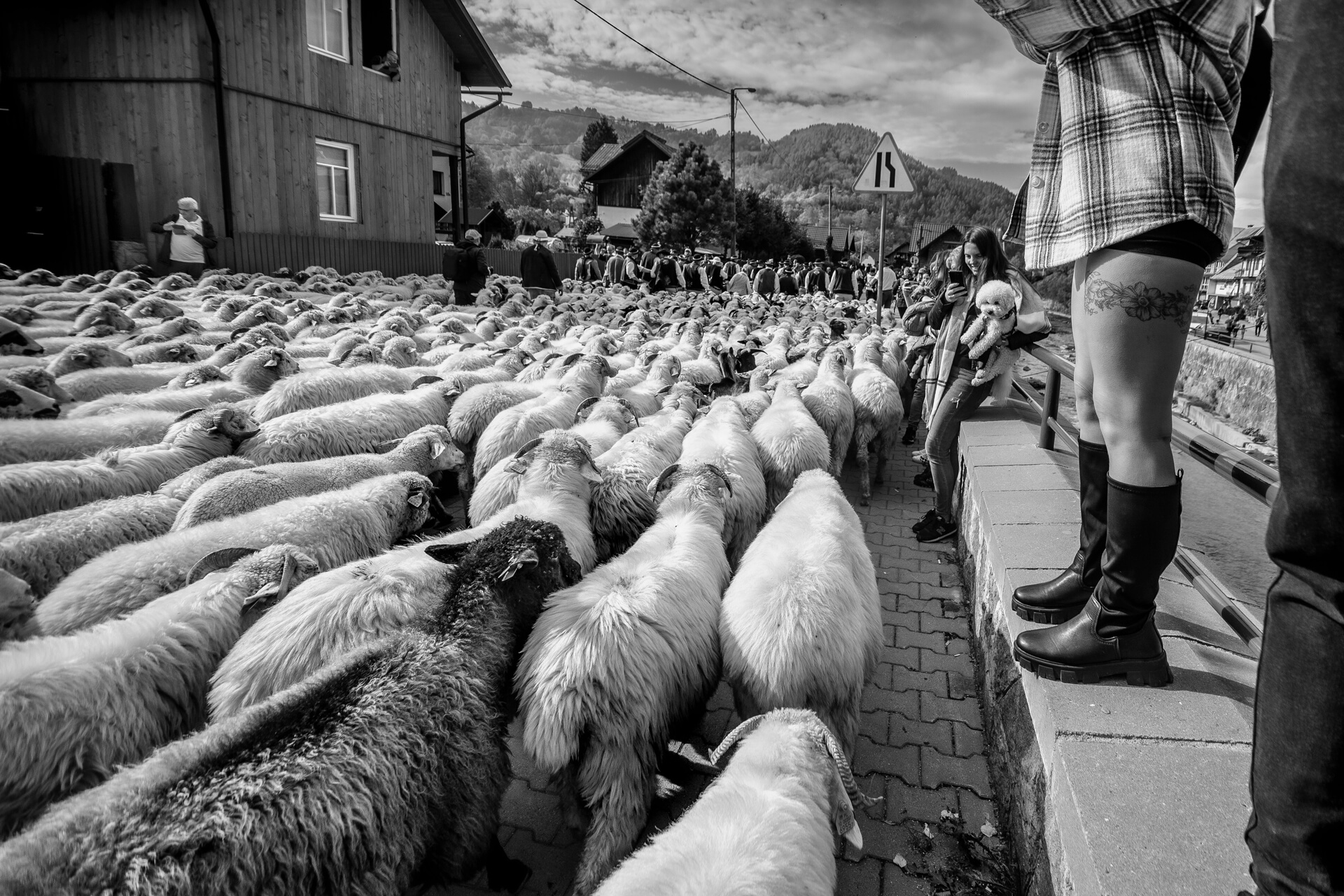 zdjęcie Marka Gubały