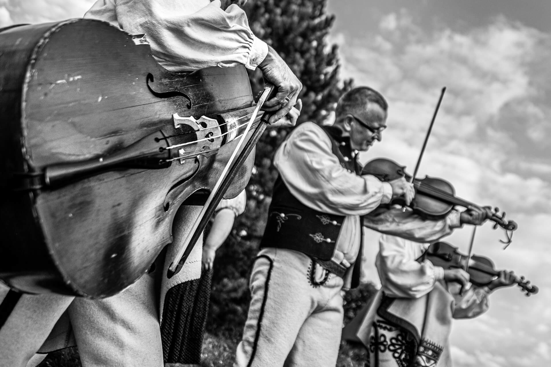 zdjęcie Marka Gubały