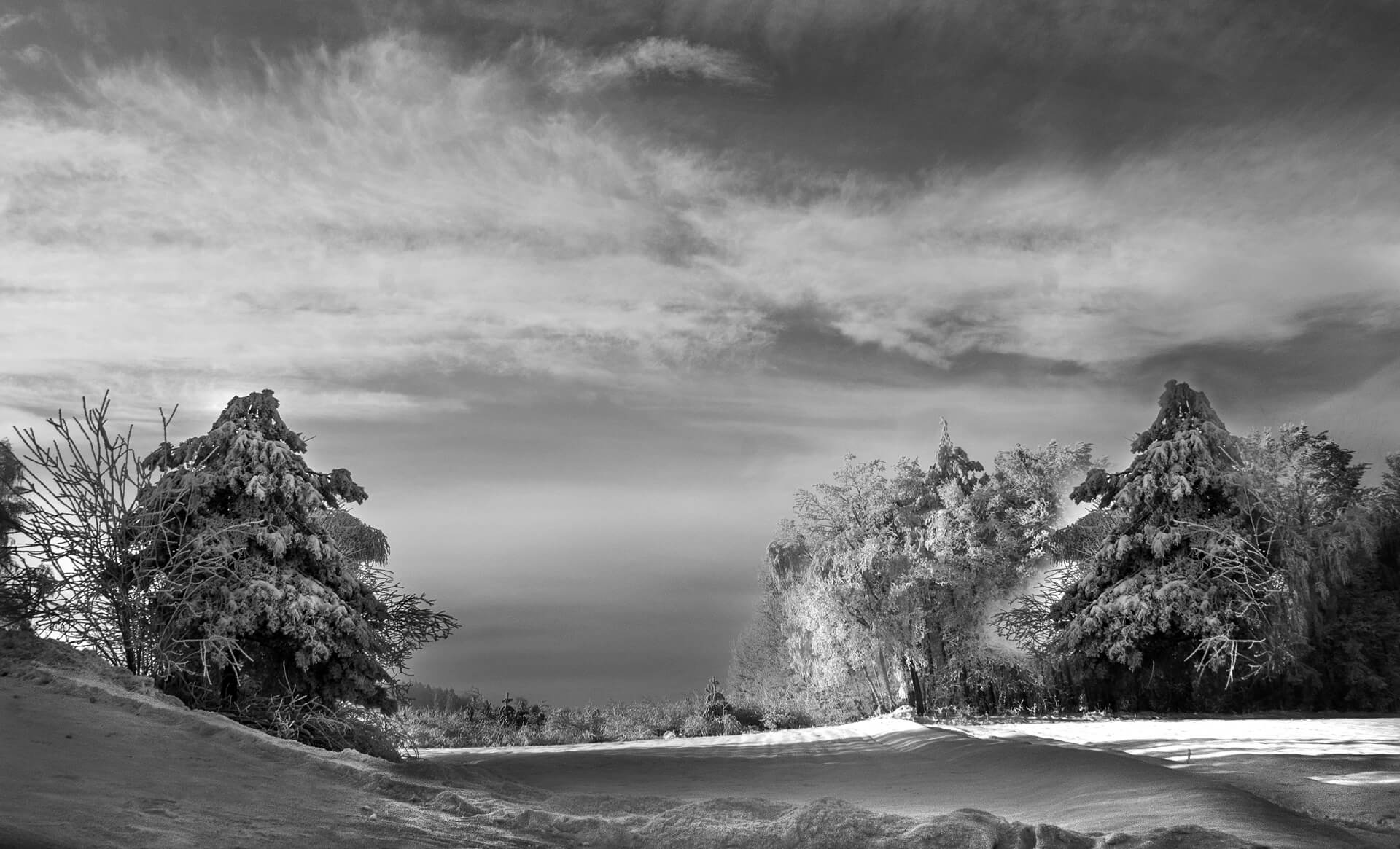 zdjęcie Marka Gubały