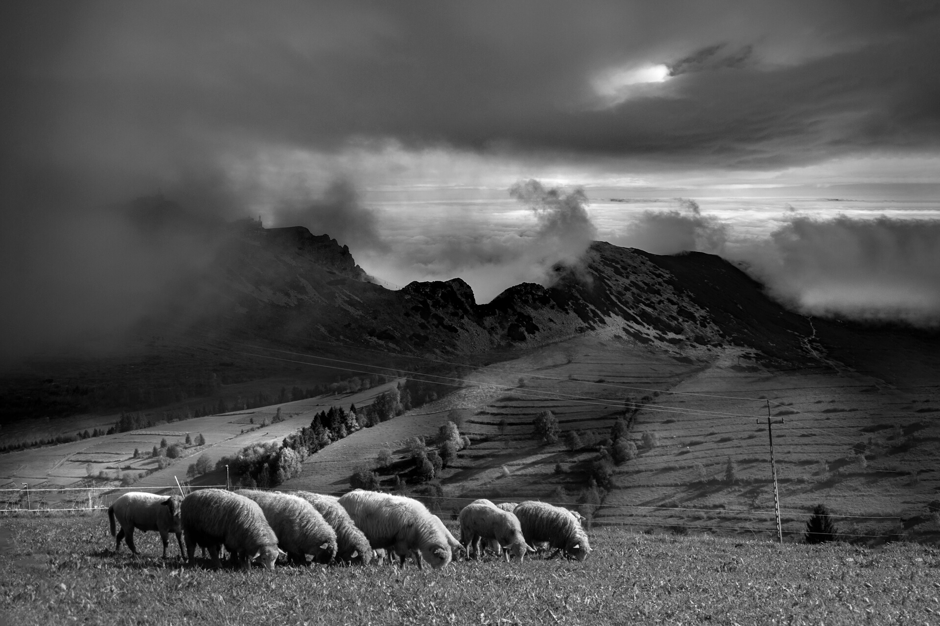 zdjęcie Marka Gubały