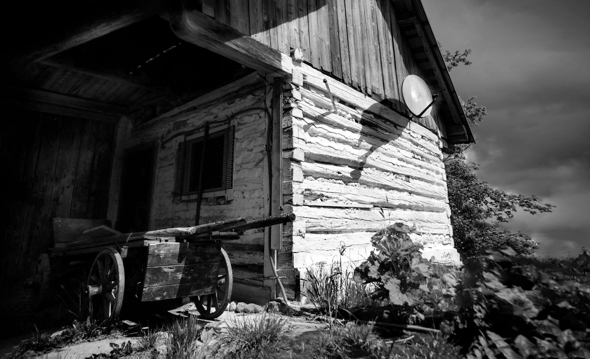 zdjęcie Marka Gubały