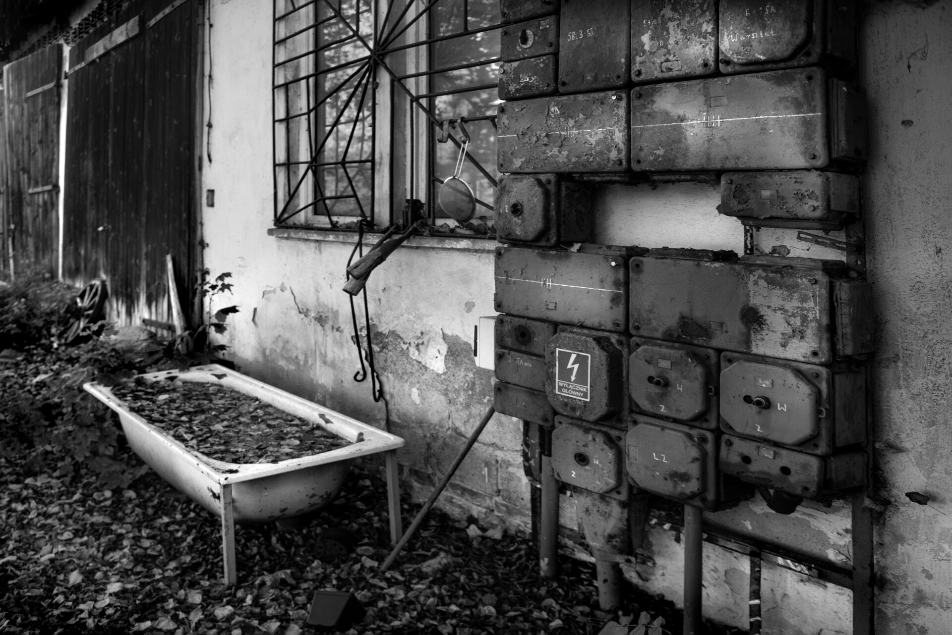 zdjęcie Marka Gubały